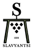 Винекс Славянци